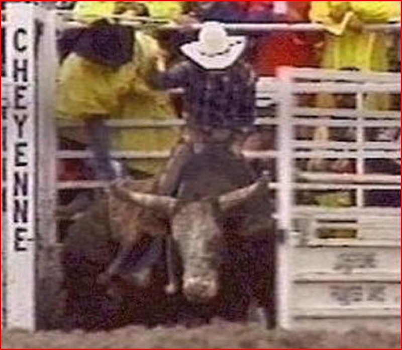 ♥ LANE FROST LAST RIDE ON TAKING CARE OF BUSINESS July 30, 1989, at the Cheyenne Frontier Days Rodeo in Cheyenne, Wyoming.♥