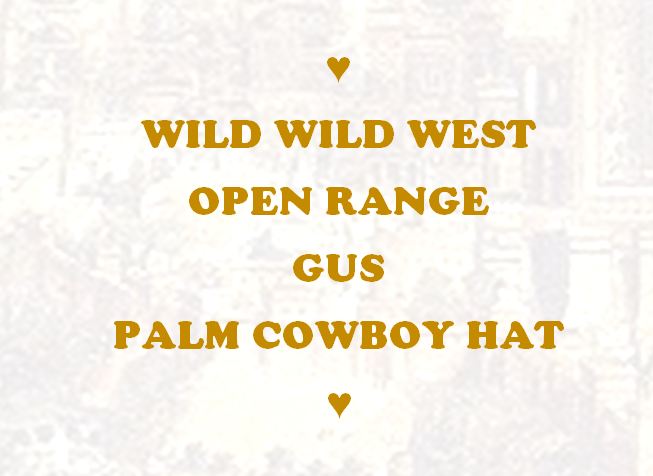 WILD WILD WEST OPEN RANGE GUS PALM COWBOY HAT